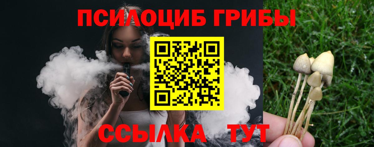 Псилоцибиновые грибы Magic Shrooms Алатырь